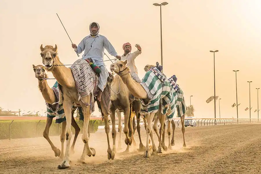 Amri Arfianto | amriarfianto_the_training day