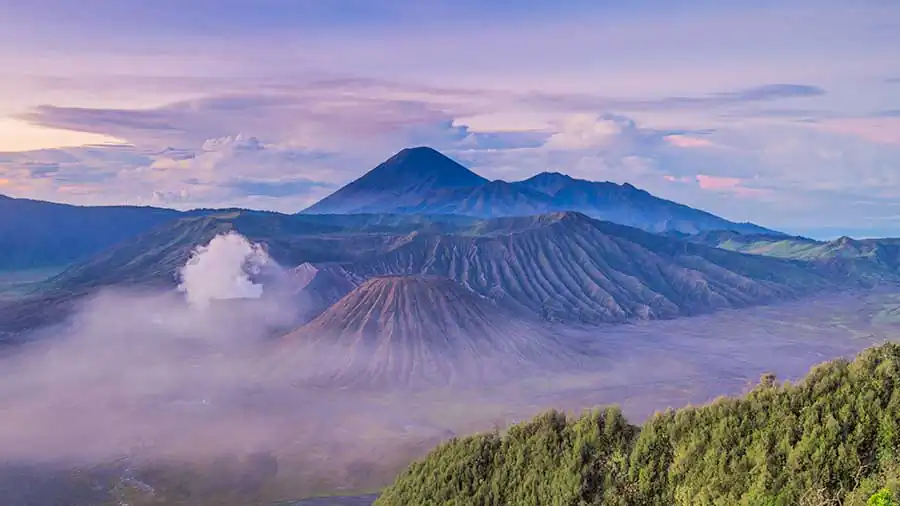 amriarfianto_thebromo