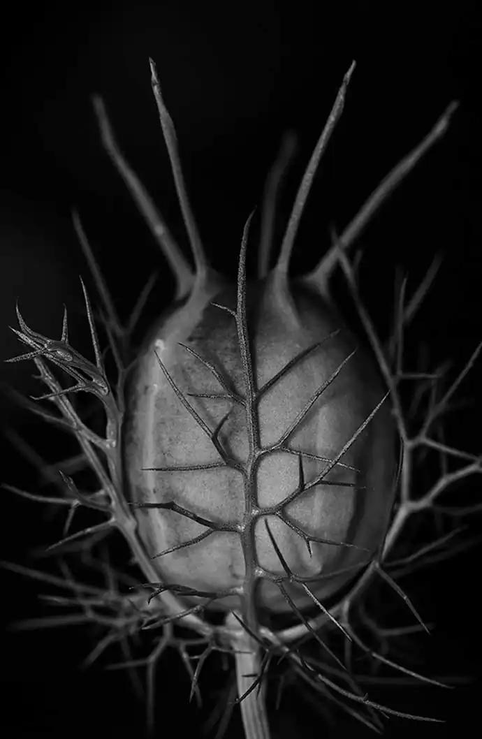 Anna Agoston : Lines, surfaces and texture