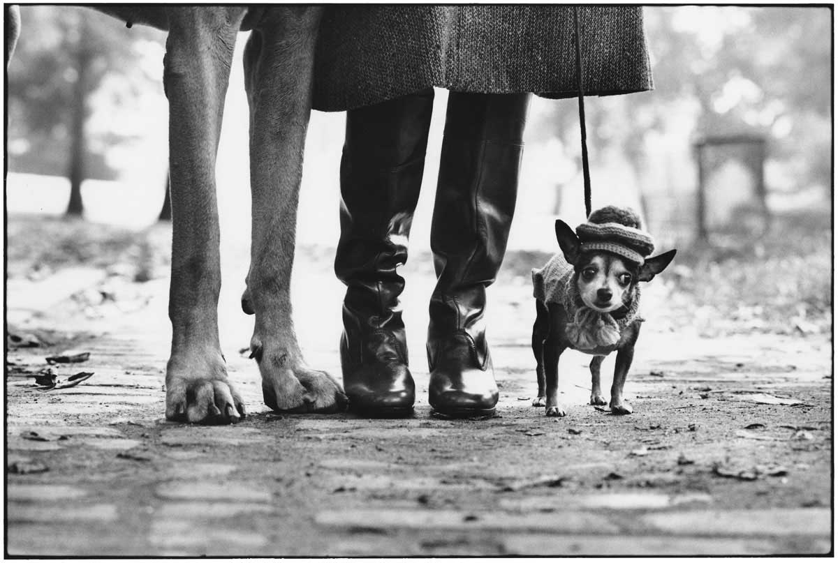 Elliott_Erwitt_USA_New_York_1974_Felix_Gladys_and_Rover_01