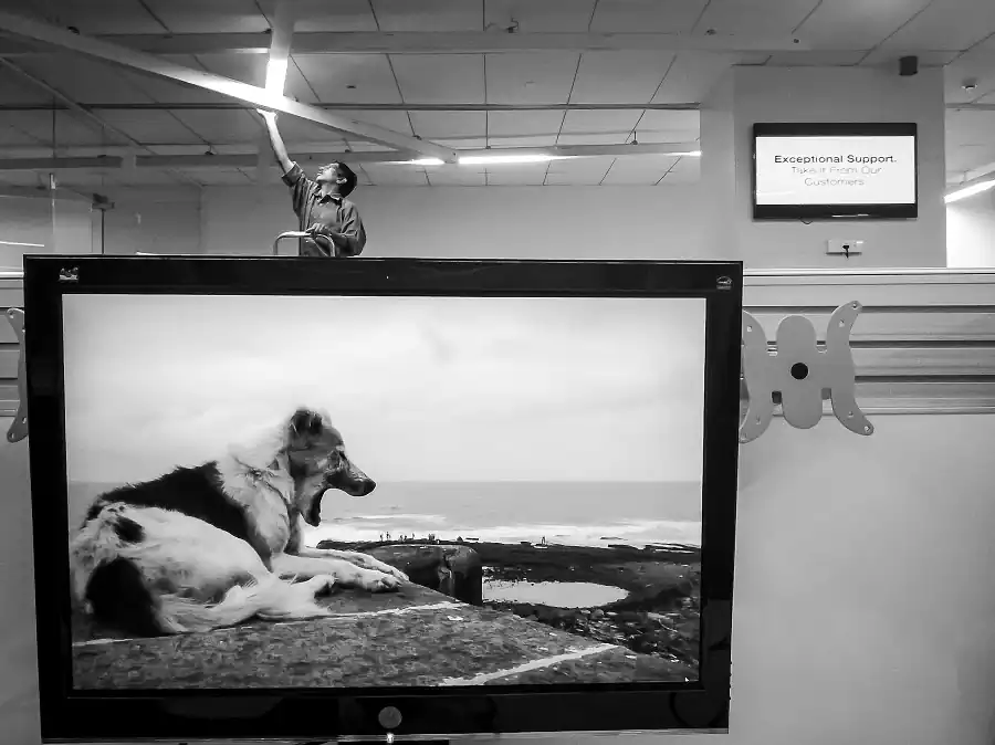 Neenad Arul - Dog Story 18