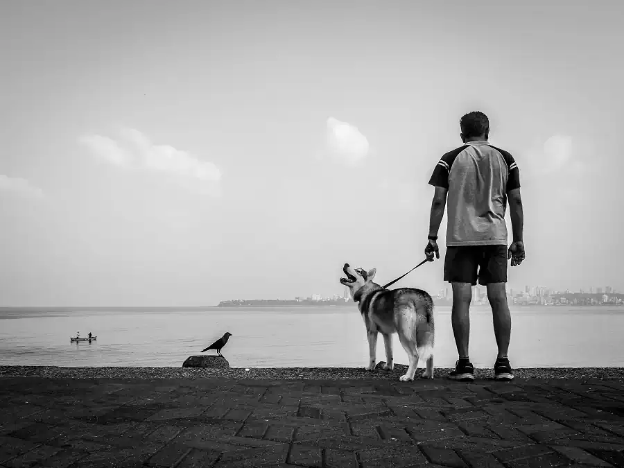 OLYMPUS DIGITAL CAMERA Neenad Arul