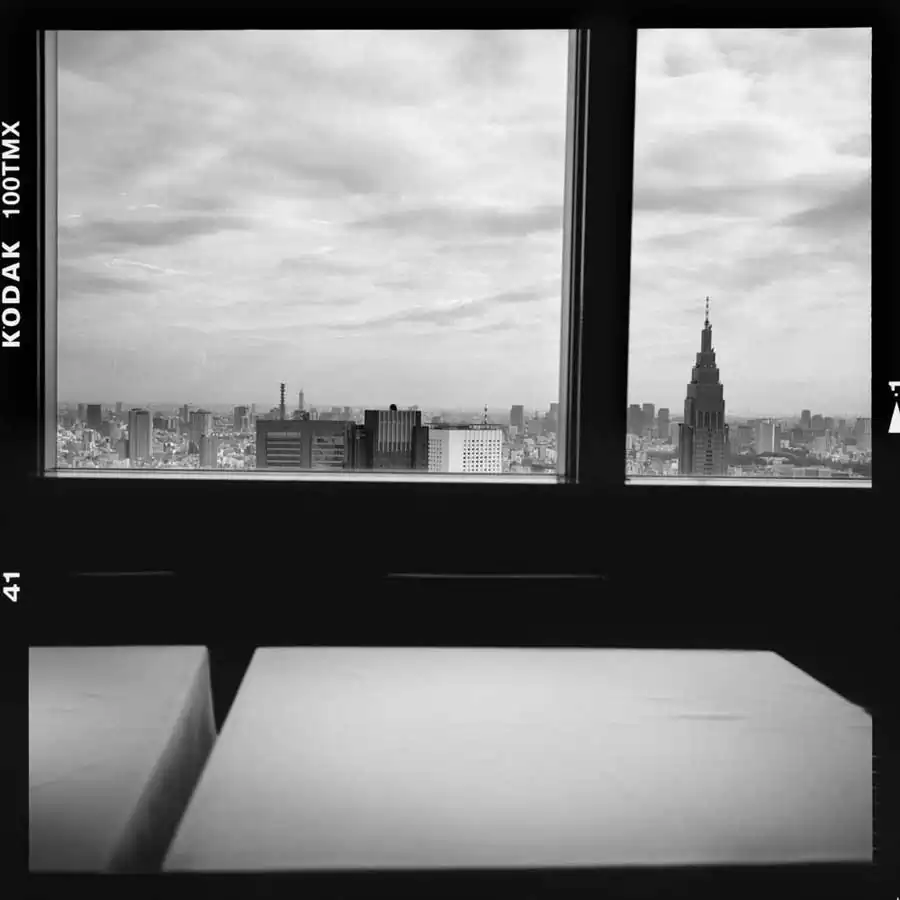 Cyrille Druart ; The world as I see it