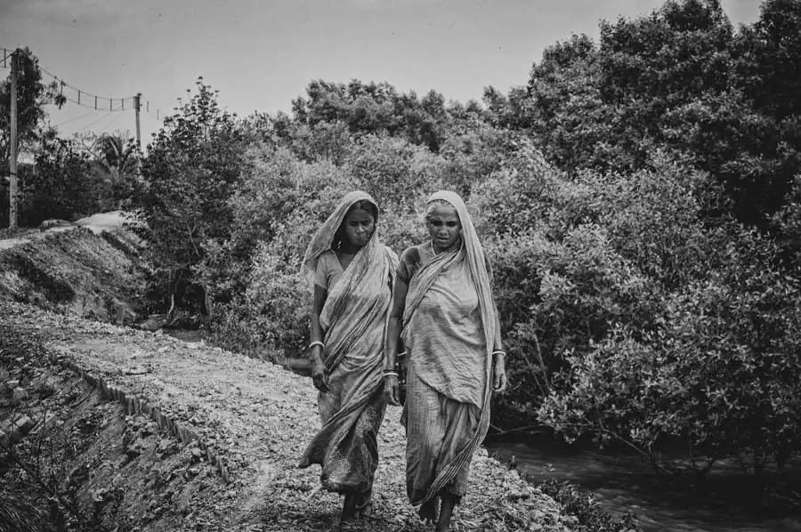 11 (Arko Dip Mukherjee)