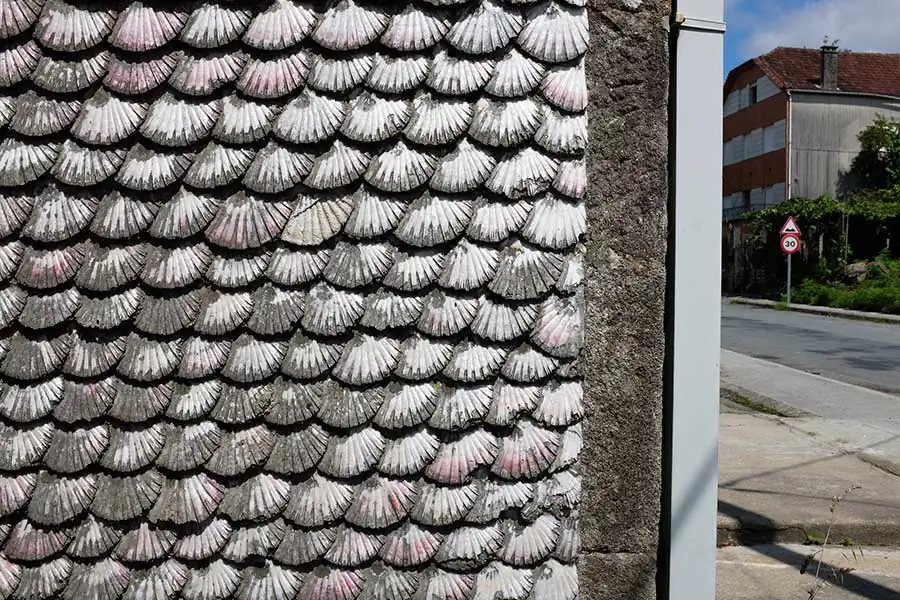 13_CAMINO_KarinKunzo