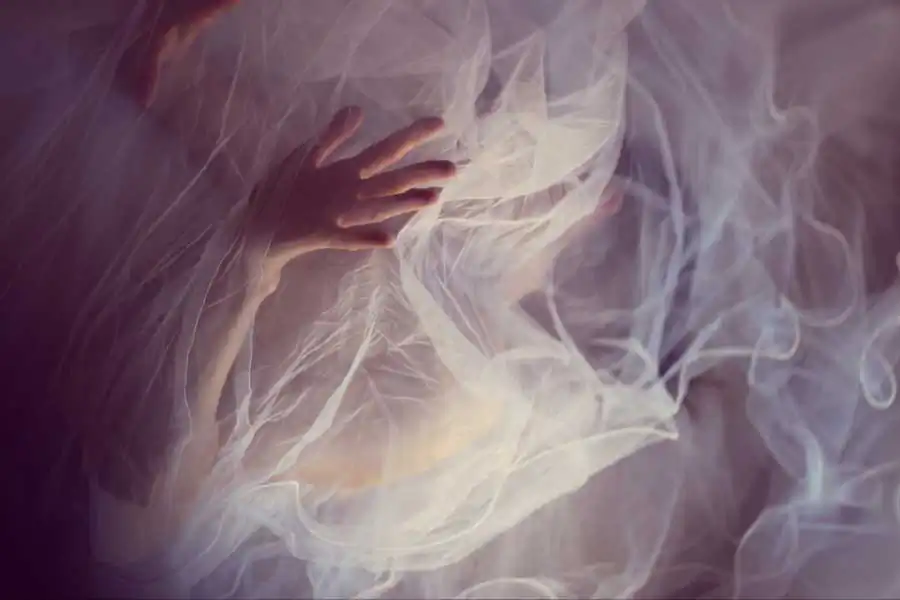 Reborn by Zuzu Valla