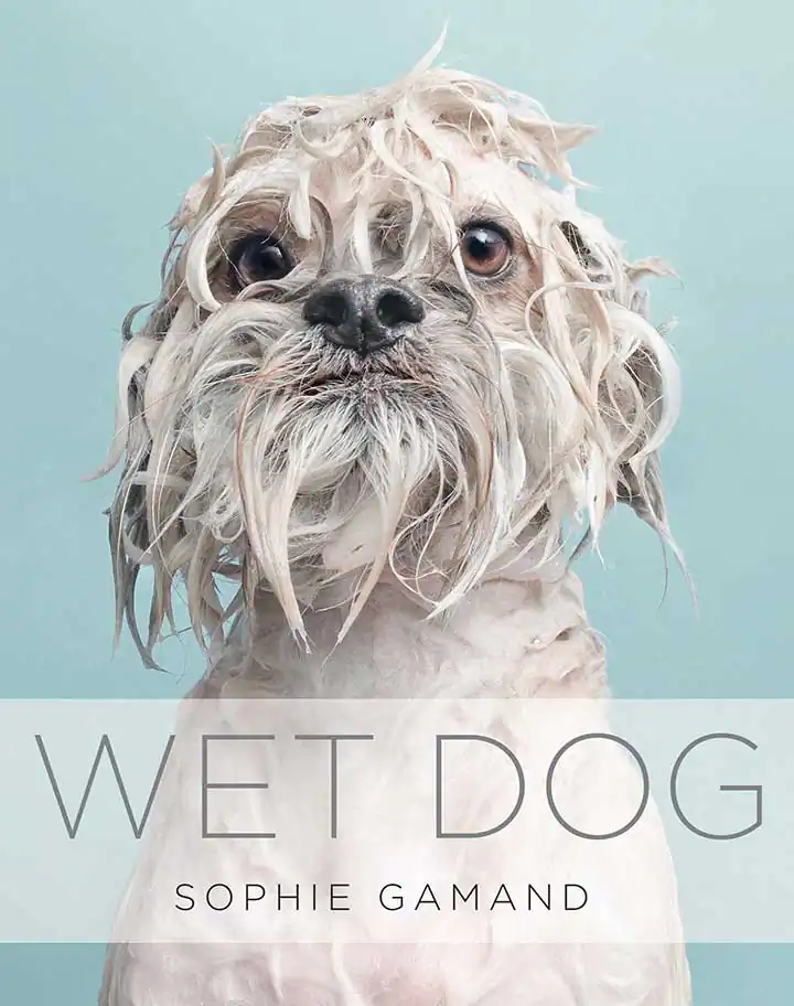 Wet Dog Book by Sophie Gamand