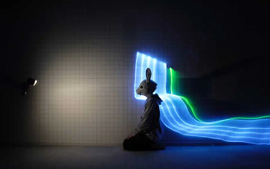 rabbit-by-Chris-Noelle