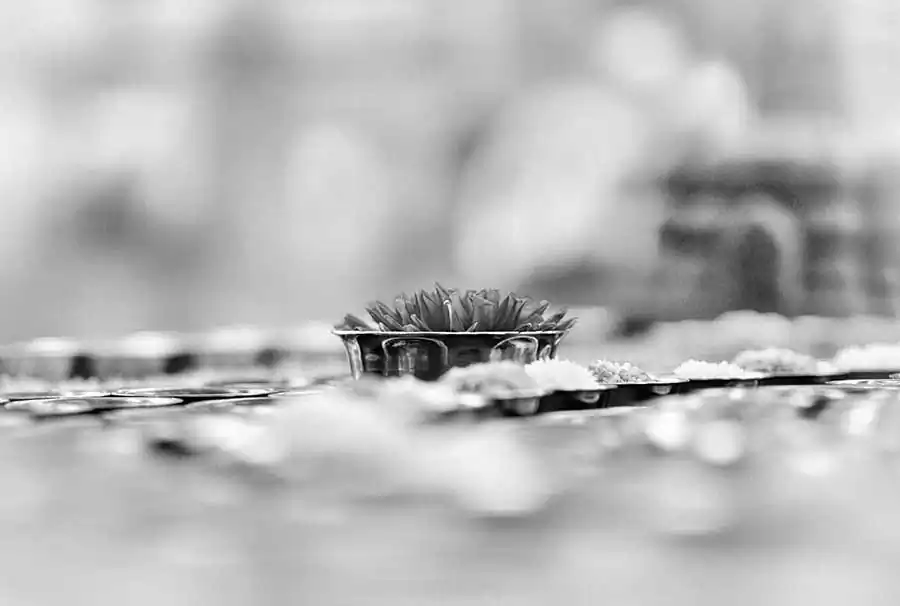 Bodhgaya; Victoria Knobloch (6)