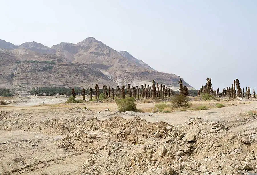 Israel; A growing desert by Jacqueline Zilberberg