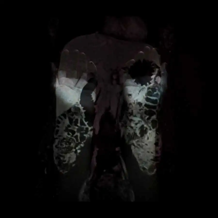 limits of existence_ani zur_1