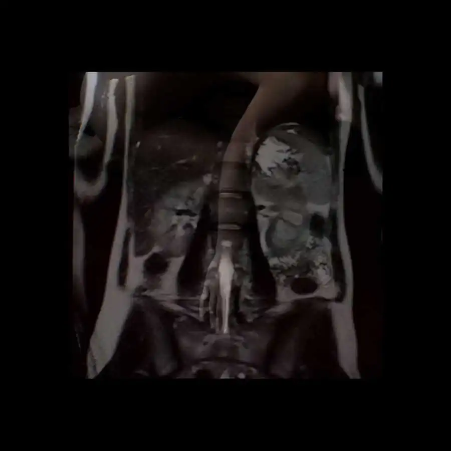 limits of existence_ani zur_14