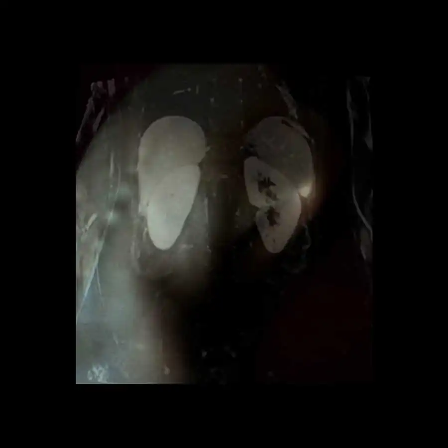 limits of existence_ani zur_15