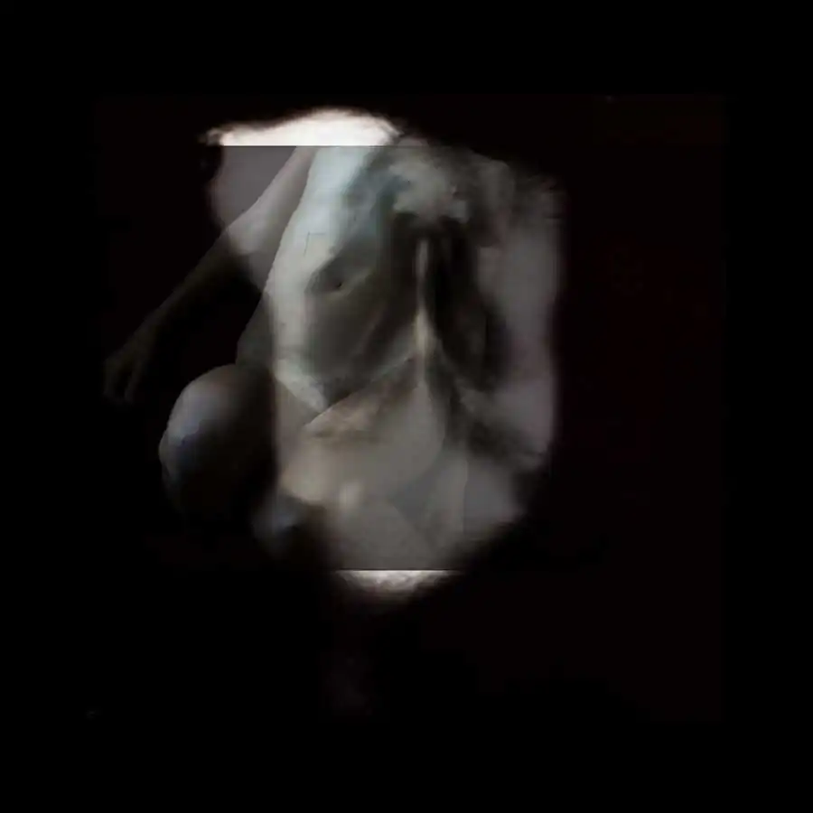 limits of existence_ani zur_16