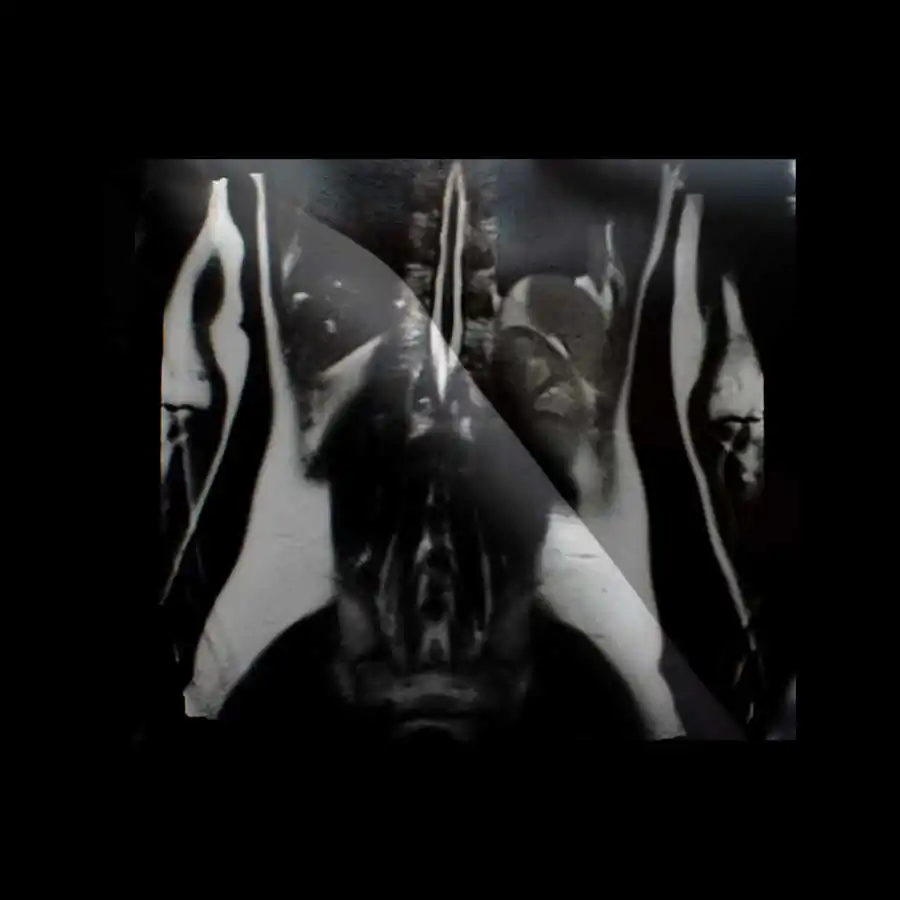 limits of existence_ani zur_2