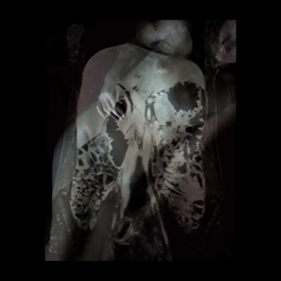 limits of existence_ani zur_9