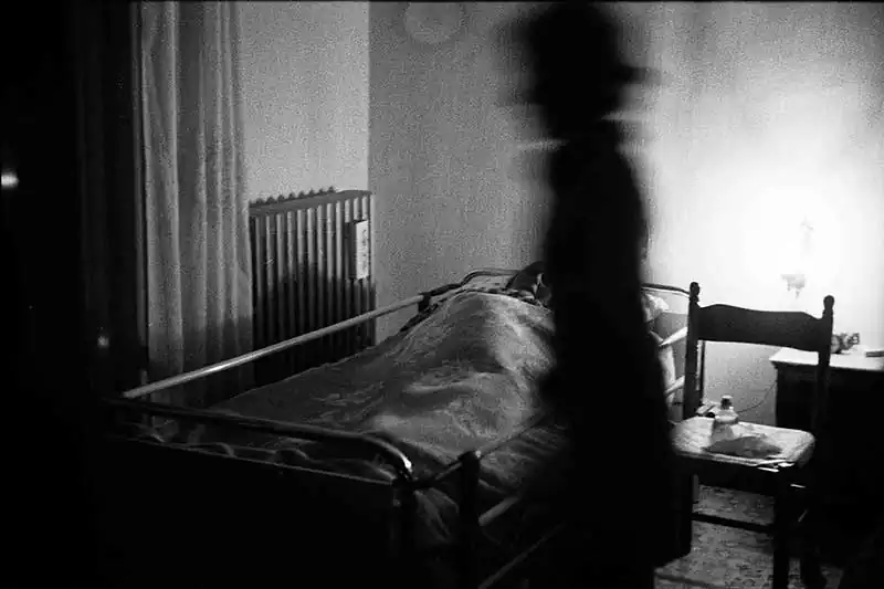 AlessandroPetriello008