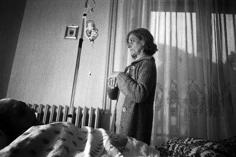 AlessandroPetriello015