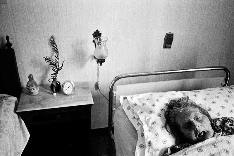 AlessandroPetriello016