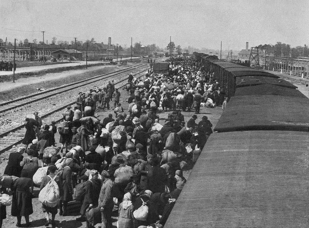 Auschwitz Album. Arrival of a transport, 1944
