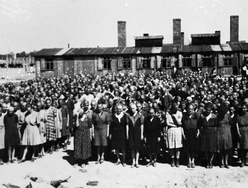 Auschwitz Album. Assignment to labour camp, Lili Jacob at roll call (in the middle of the first row, seventh from the right), 1944