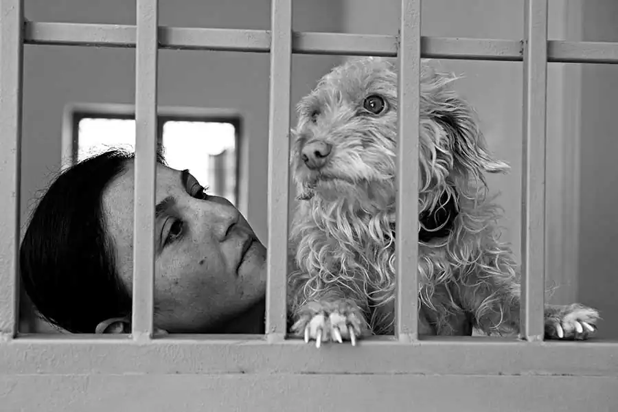 Buket Ozatay-Behind the Bars XI