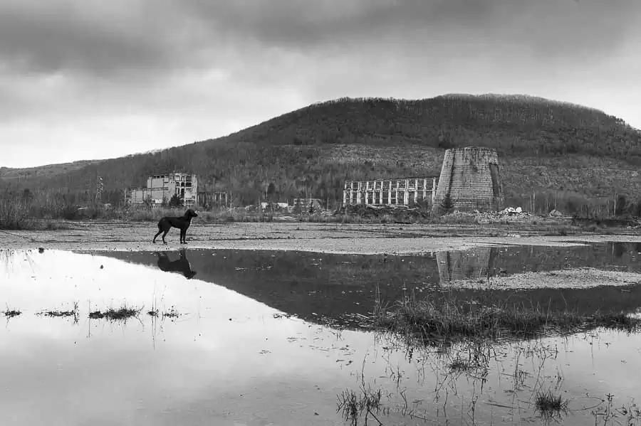 Oliver Merce - New Town 01