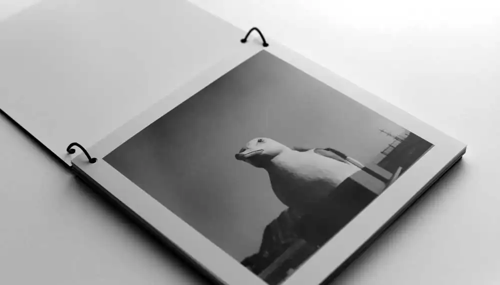 04_Ekaterina_Vasilyeva