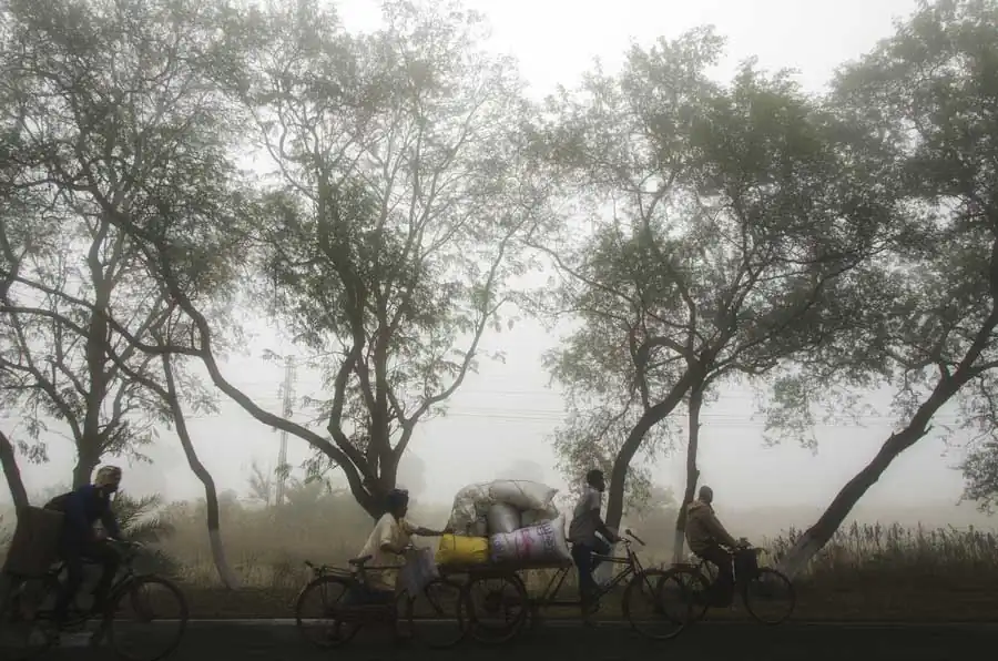 13_SUVOBROTORAYCHAUDHURI