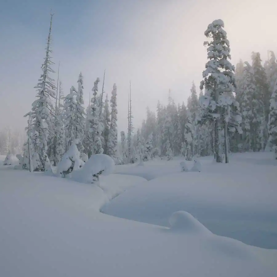 winter-wonderland-mt-washington