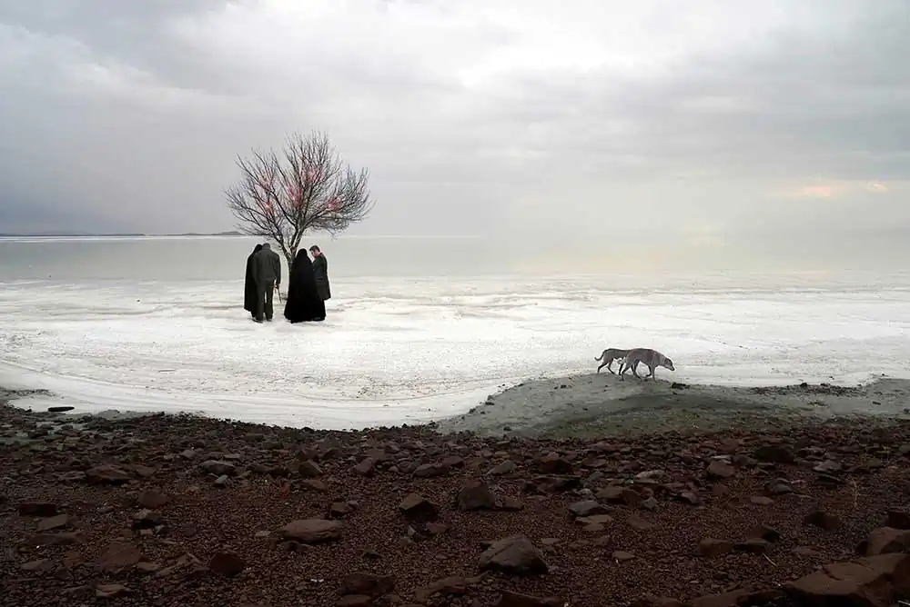 4e545258-fb0f-488c-8f60-fa1292fce08c