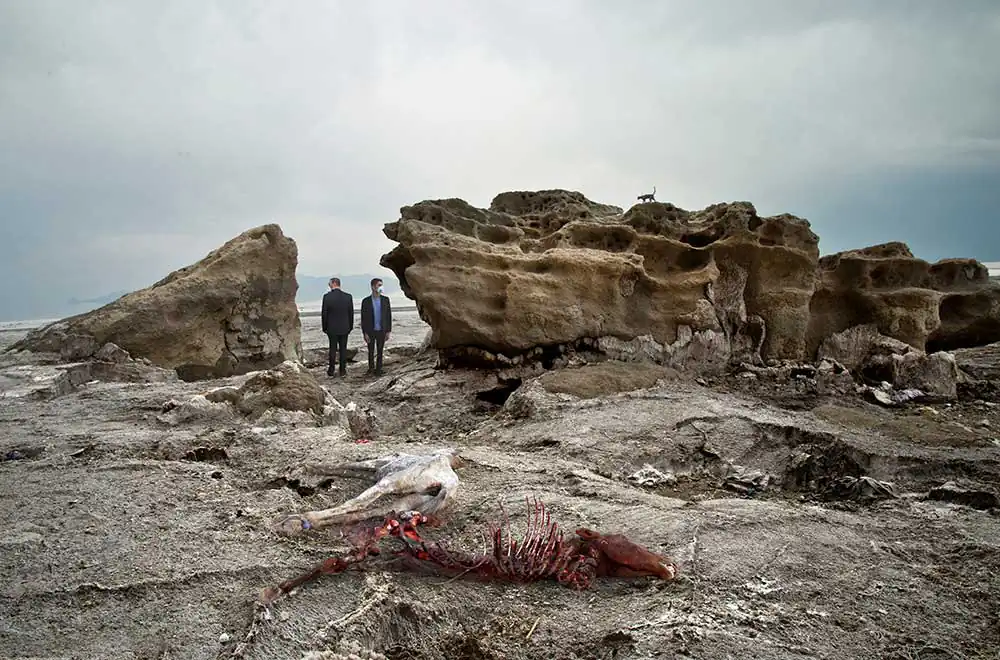 67532fd0-dc1e-4dfe-944a-9cd7bfd4febd