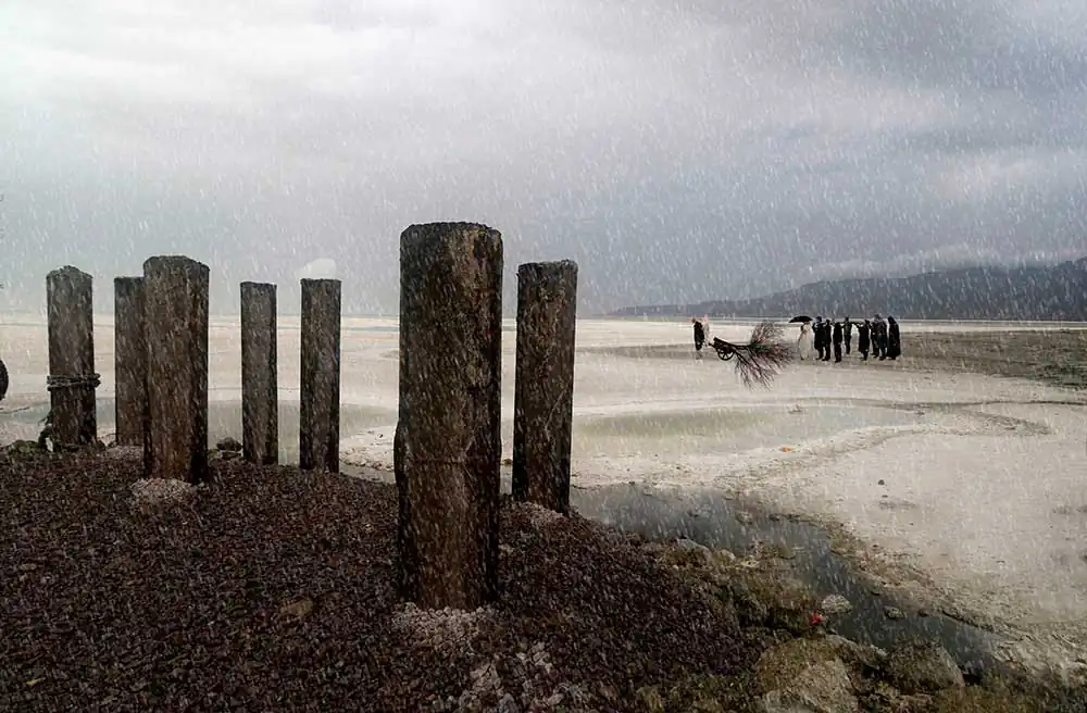 86799ff2-fa77-420e-8159-fd8d1b9b4c32