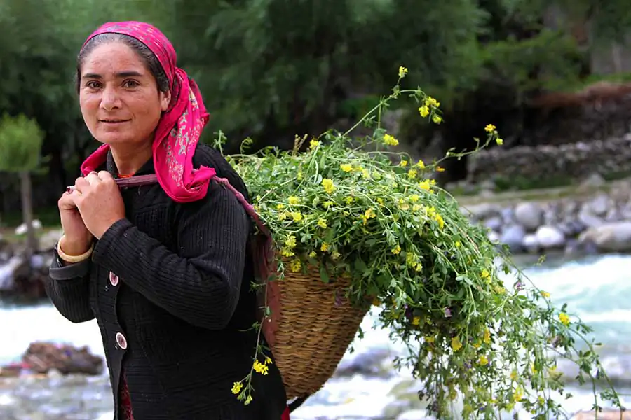 Portrait of the Aryans by Abhishek Nandy