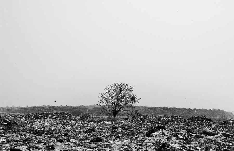 Life in the Wastelands by Debmalya Ray Choudhuri