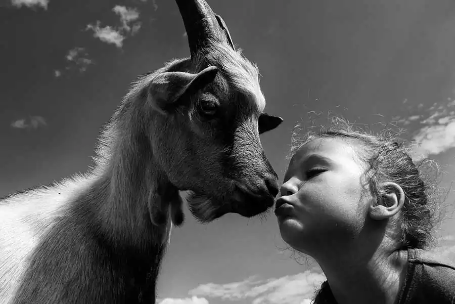 Felicidade by Kicia Randagia