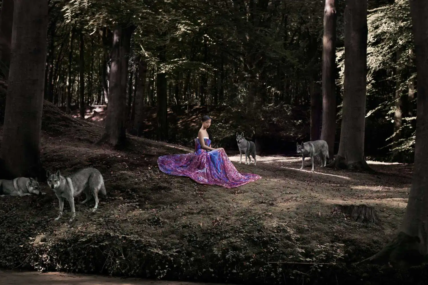 Woodland by Justine Tjallinks