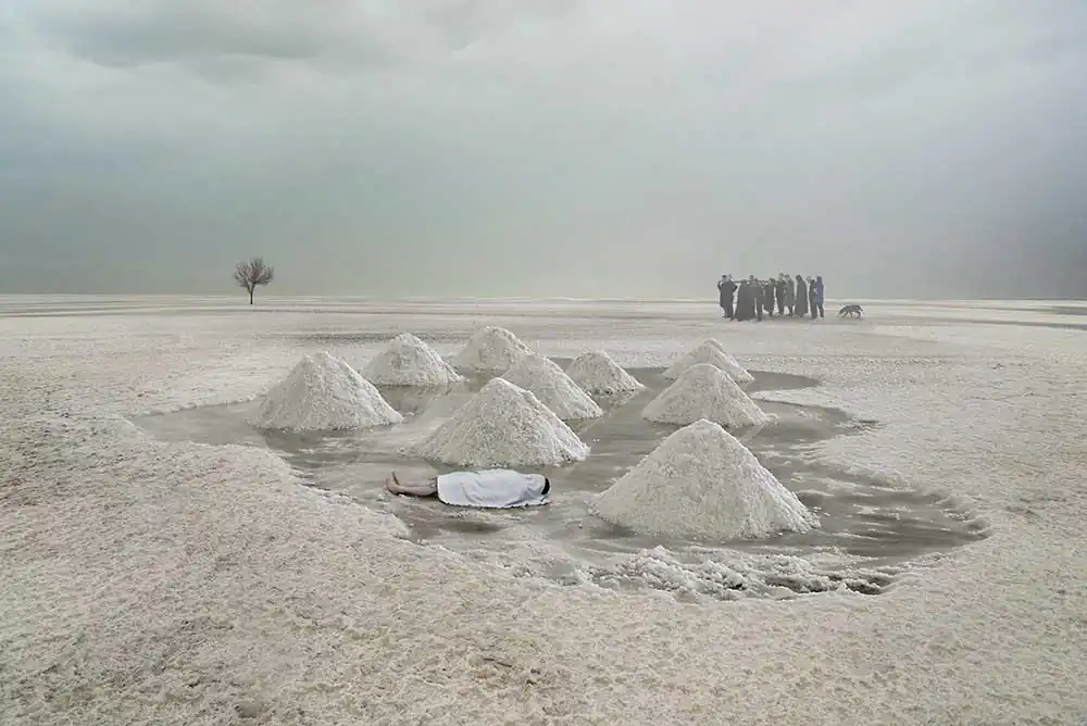 cc3a8da5-9540-44c2-a095-e911782ec079