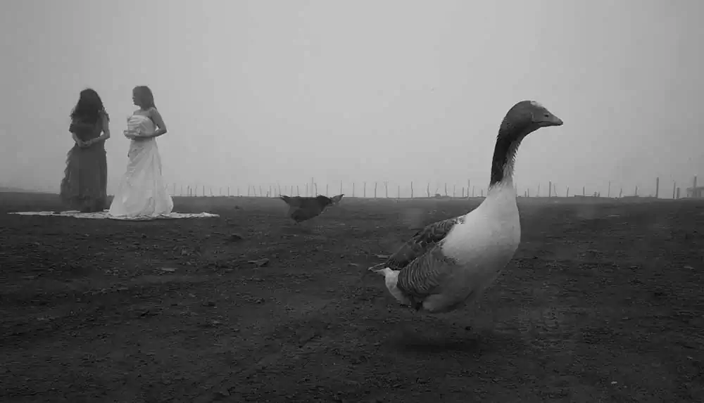 Ghazaleh Ghazanfari ; Magical realism