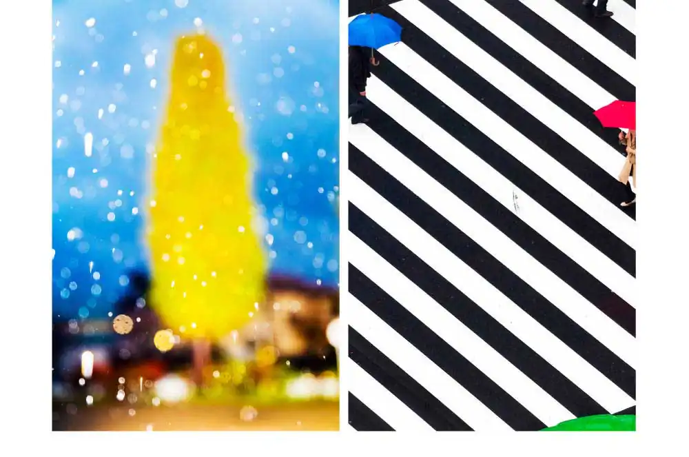 YOSHINORI MIZUTANI on Webber Gallery