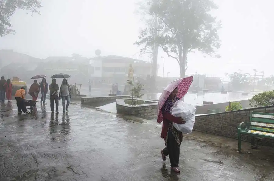 Dancing in the Rain by Suvobroto Ray Chaudhuri