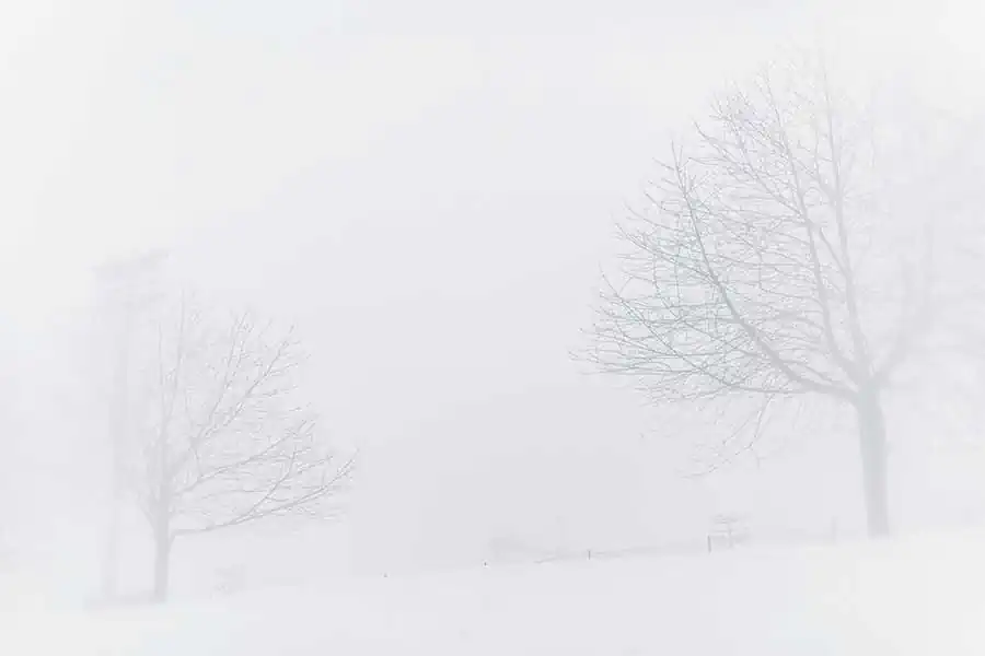 15-white_is_not_a_color_POP6434