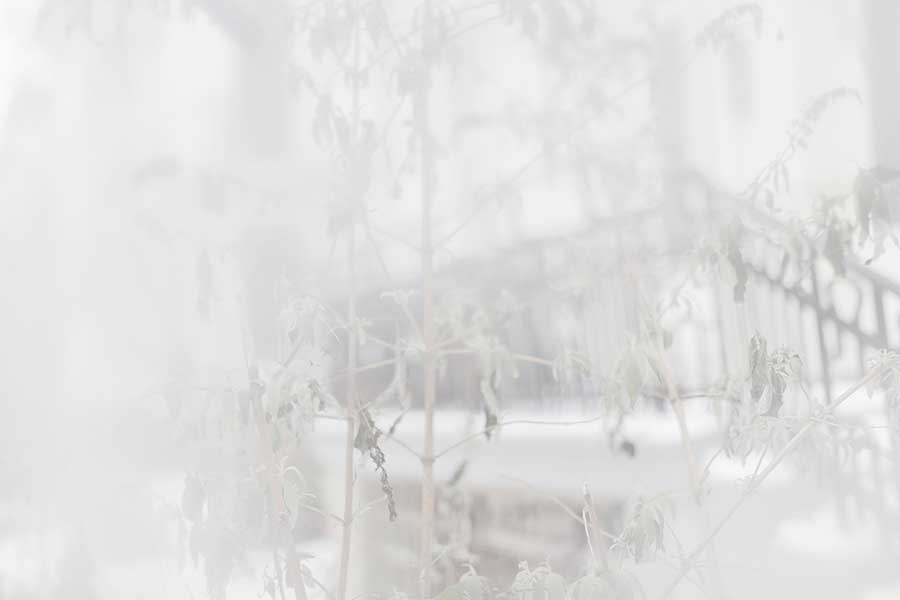 7-white_is_not_a_color_POP6464