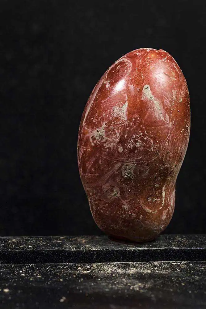 Migrant Tomatoes by Francesco Amorosino