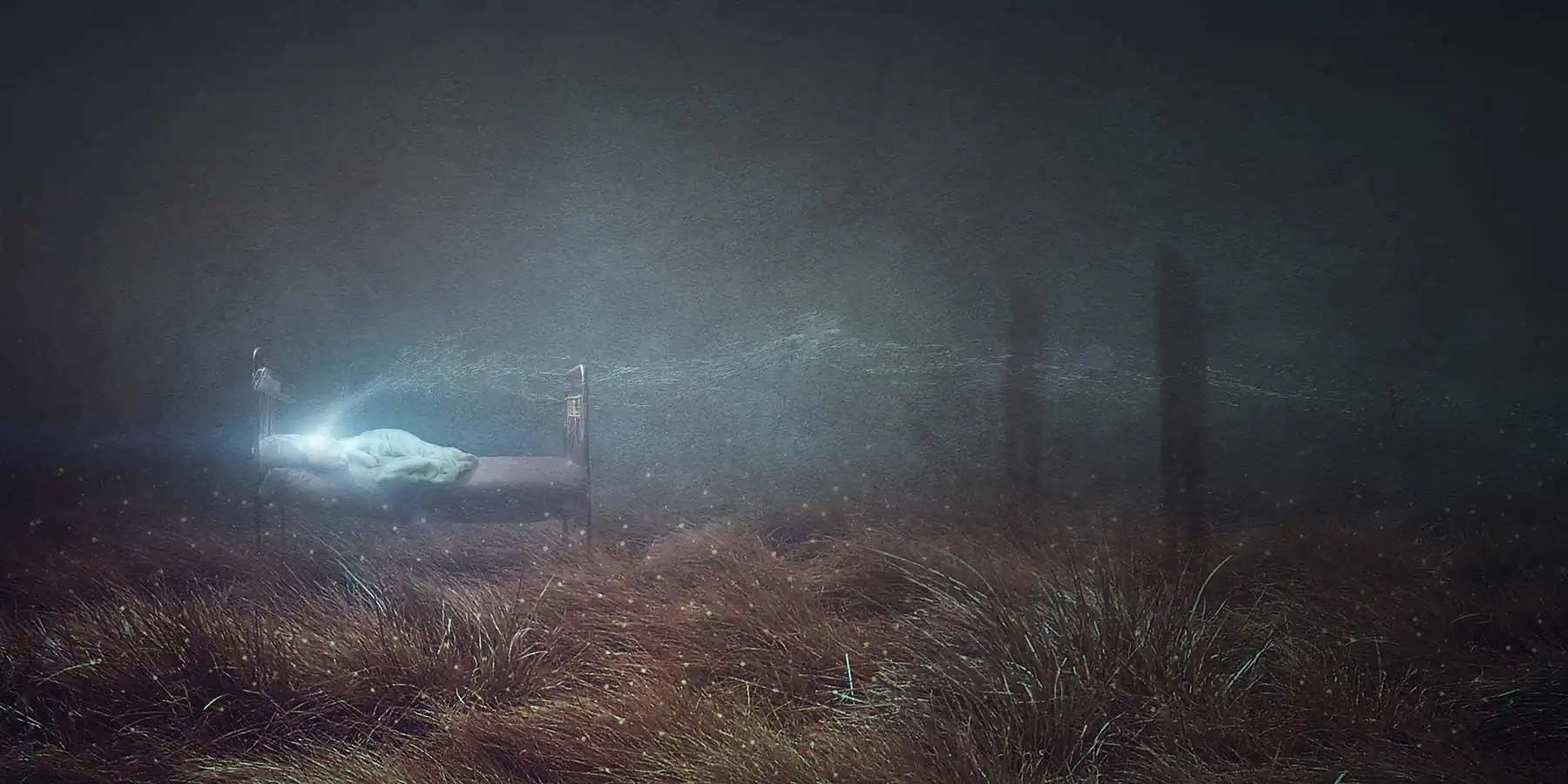 They Come When I Dream