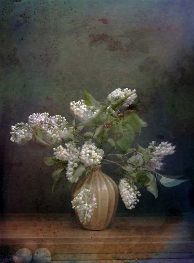 WHITE_LILACS_WITH_WOODEN_BALLS_Michel_van_Weegberg