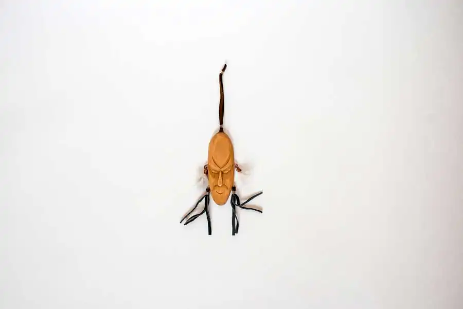 Where to buy: Irkutsk city, 800 rubles