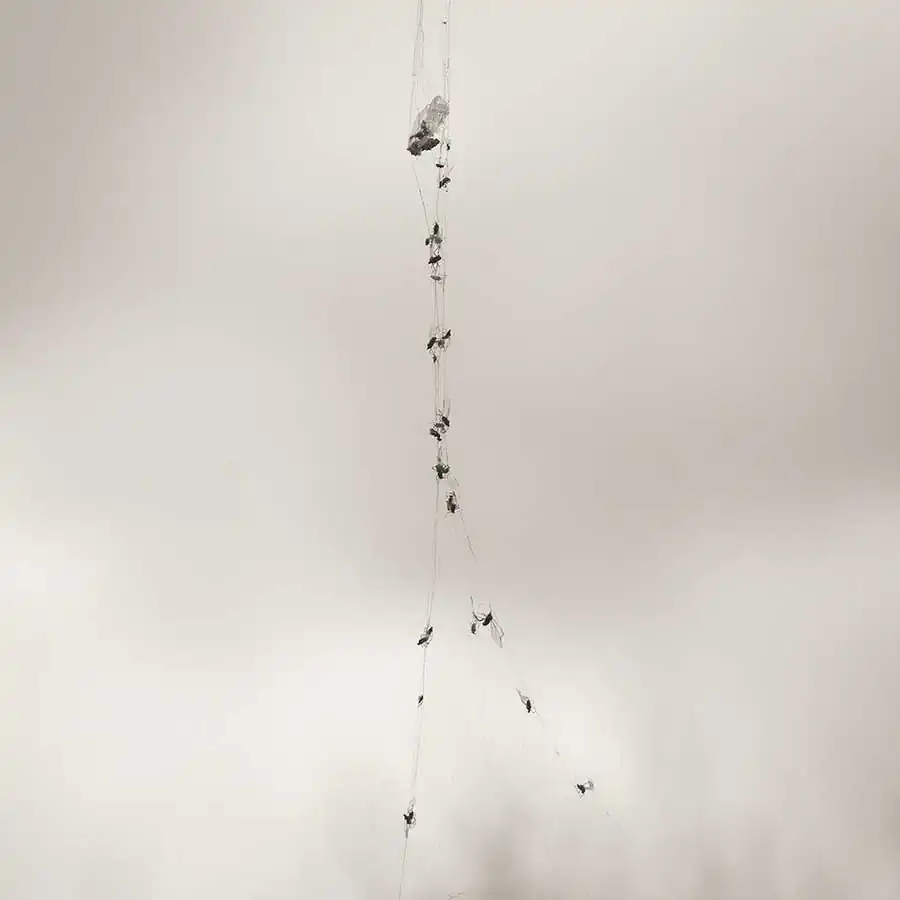 michiko_chiyoda_oshichi_02