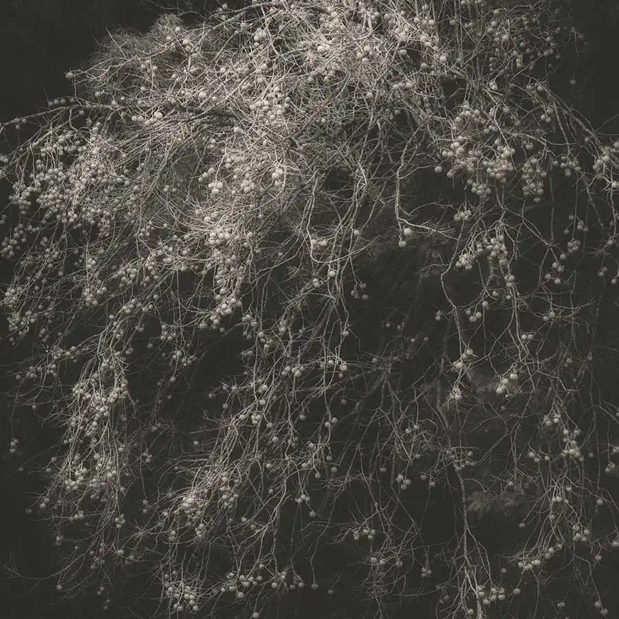 michiko_chiyoda_oshichi_07