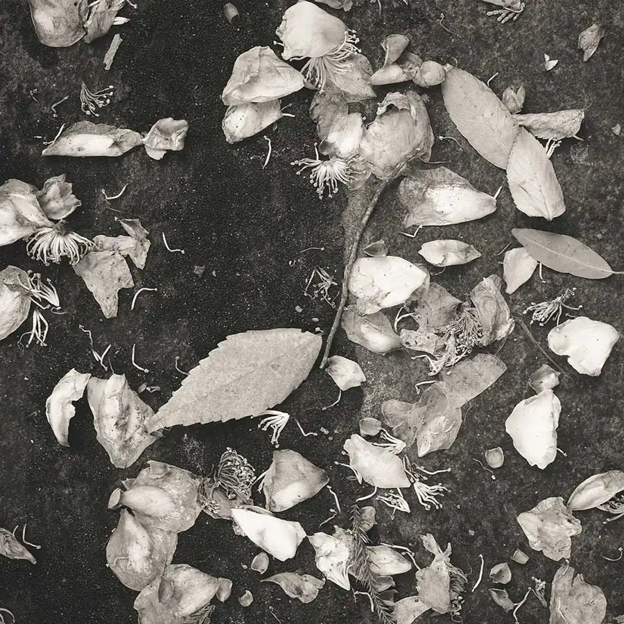 michiko_chiyoda_oshichi_08